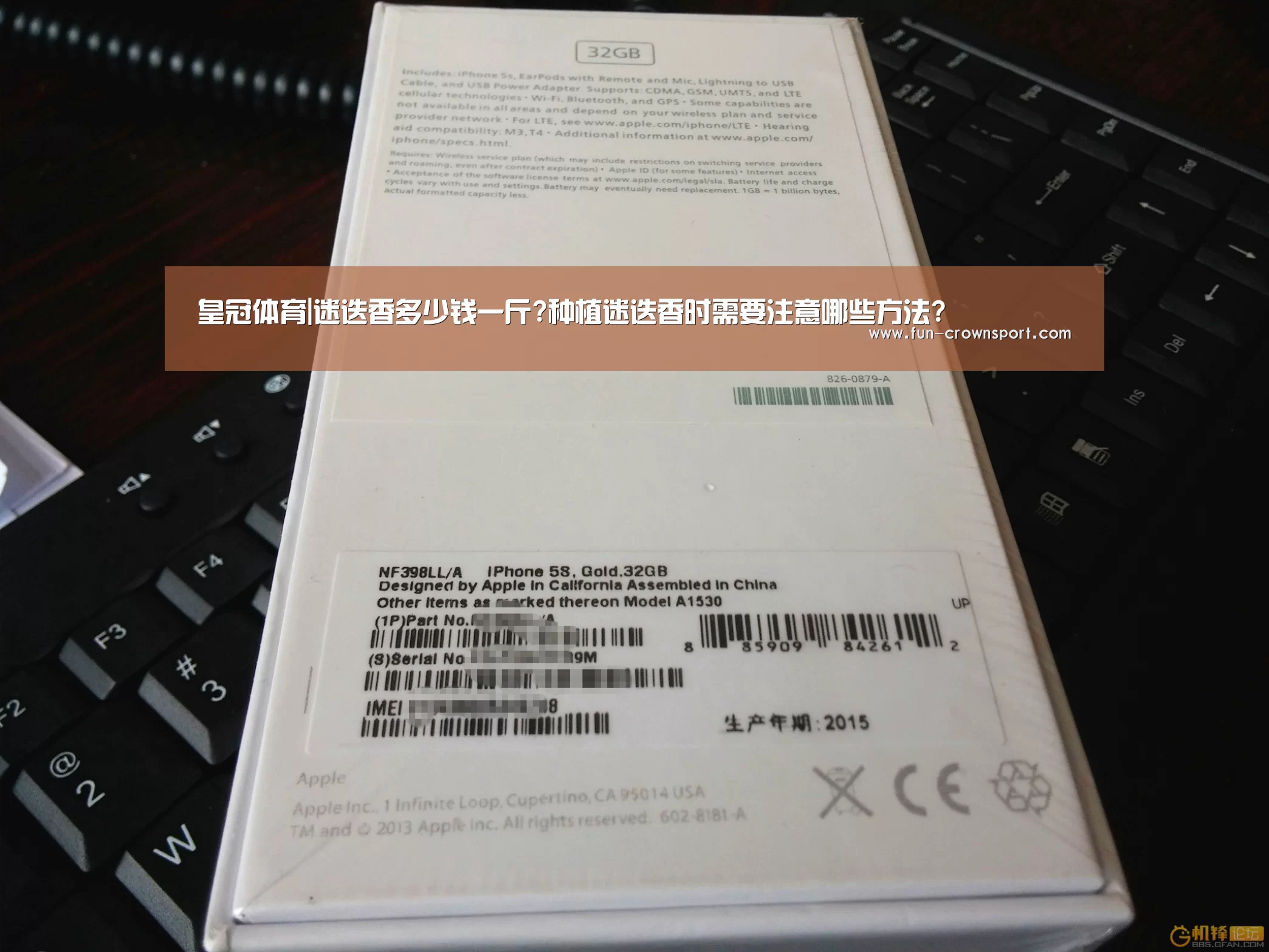 皇冠体育|迷迭香多少钱一斤?种植迷迭香时需要注意哪些方法?(图1) 皇冠体育