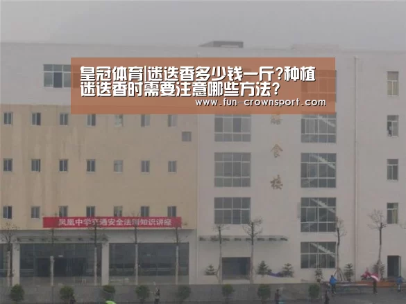 皇冠体育|迷迭香多少钱一斤?种植迷迭香时需要注意哪些方法?(图2) 皇冠体育