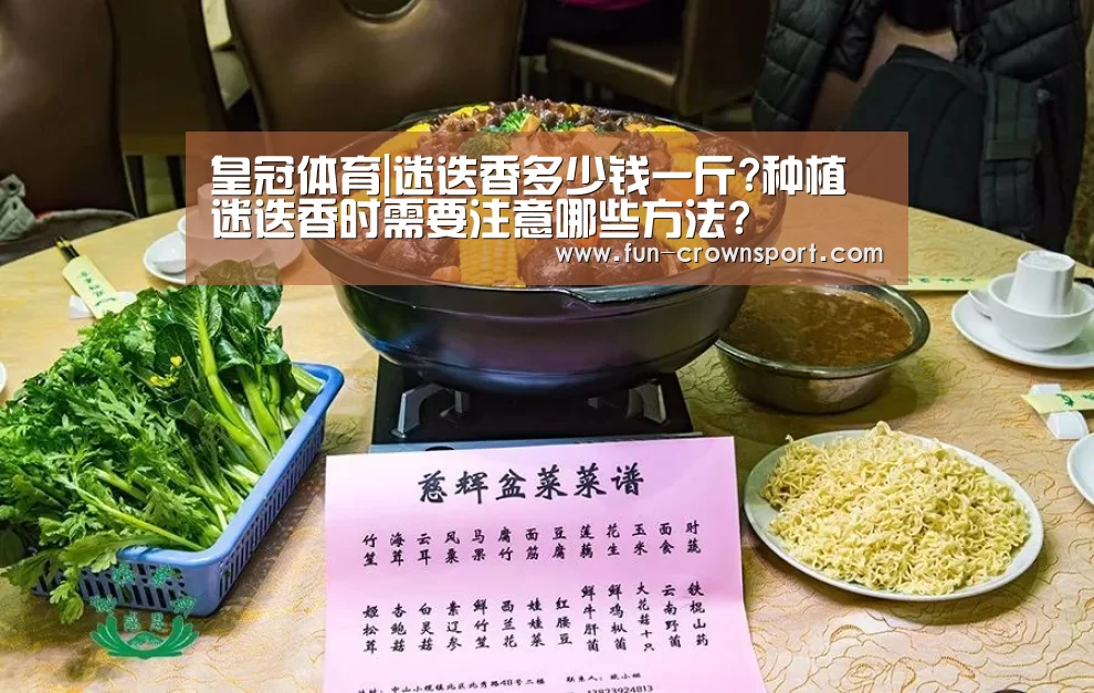 皇冠体育|迷迭香多少钱一斤?种植迷迭香时需要注意哪些方法?(图3) 皇冠体育官网