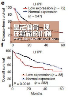 皇冠体育官网