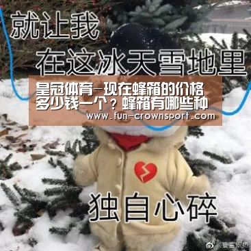 皇冠体育平台