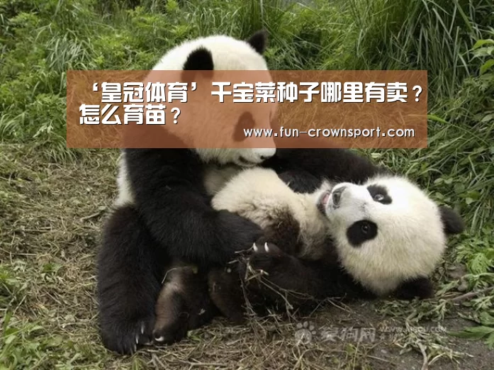皇冠体育官网