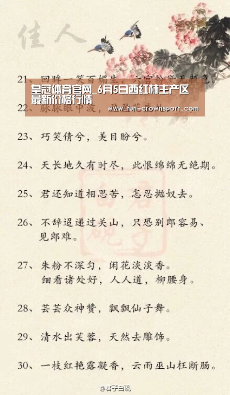 皇冠入口