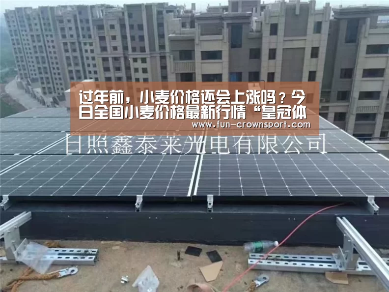 过年前,小麦价格还会上涨吗?今日全国小麦价格最新行情“皇冠体育平台”(图1) 皇冠体育平台