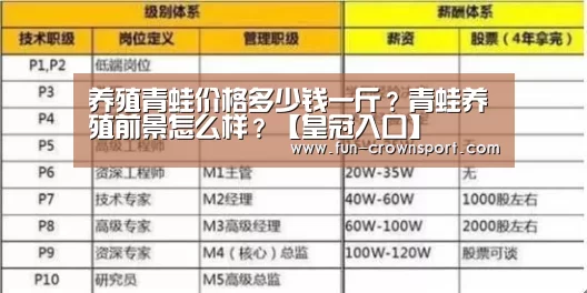 皇冠体育