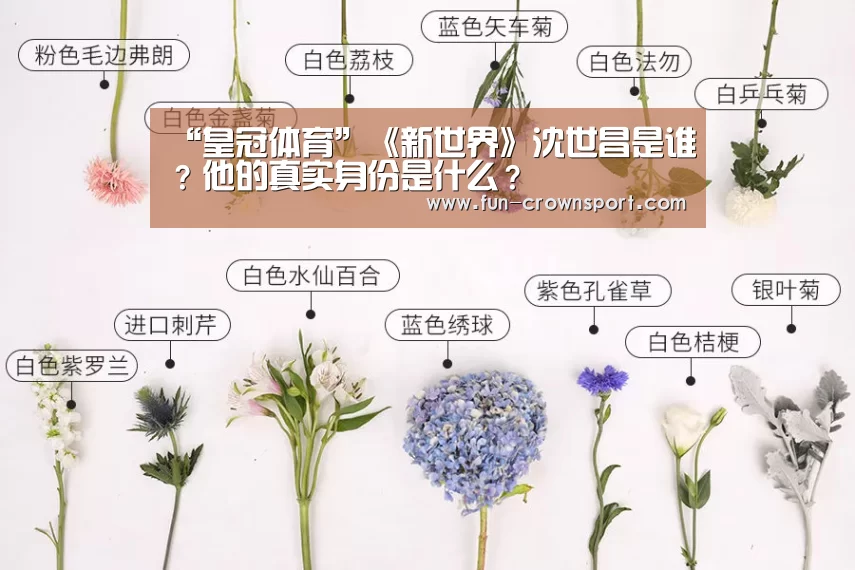 皇冠体育