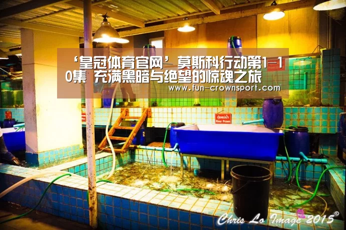 ‘皇冠体育官网’莫斯科行动第1-10集 充满黑暗与绝望的惊魂之旅(图1) 皇冠体育