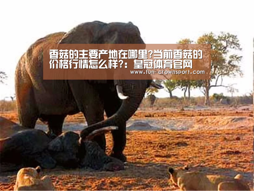 皇冠入口