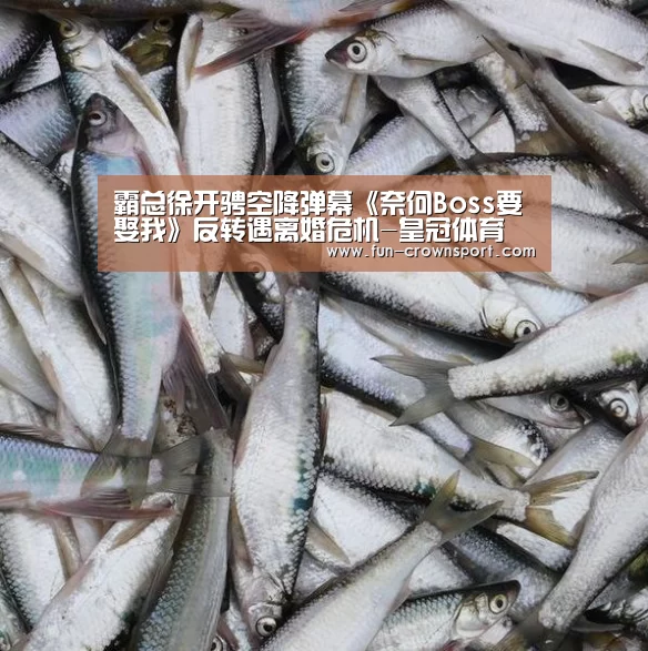 霸总徐开骋空降弹幕《奈何Boss要娶我》反转遇离婚危机-皇冠体育(图1) 皇冠体育平台